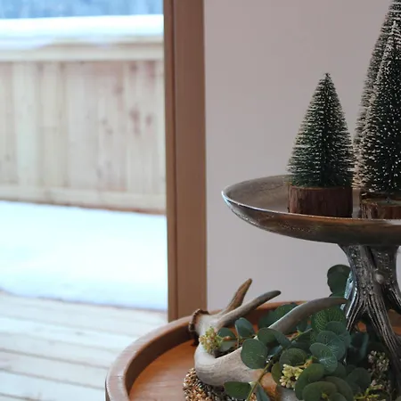 Apartment Mountainview-lodge Exklusiver Neubau Mit Bergblick